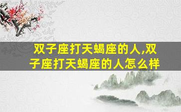 双子座打天蝎座的人,双子座打天蝎座的人怎么样