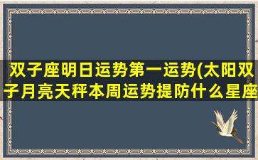 双子座明日运势第一运势(太阳双子月亮天秤本周运势提防什么星座)