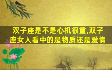 双子座是不是心机很重,双子座女人看中的是物质还是爱情