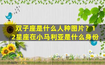 双子座是什么人种图片？12星座在小马利亚是什么身份