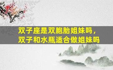 双子座是双胞胎姐妹吗，双子和水瓶适合做姐妹吗