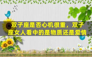 双子座是否心机很重，双子座女人看中的是物质还是爱情