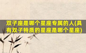 双子座是哪个星座专属的人(具有双子特质的星座是哪个星座)
