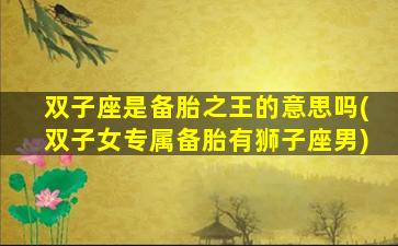双子座是备胎之王的意思吗(双子女专属备胎有狮子座男)