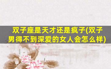 双子座是天才还是疯子(双子男得不到深爱的女人会怎么样)