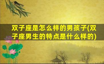 双子座是怎么样的男孩子(双子座男生的特点是什么样的)