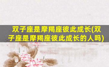双子座是摩羯座彼此成长(双子座是摩羯座彼此成长的人吗)
