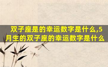双子座是的幸运数字是什么,5月生的双子座的幸运数字是什么