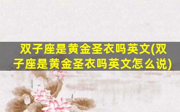 双子座是黄金圣衣吗英文(双子座是黄金圣衣吗英文怎么说)
