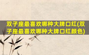 双子座最喜欢哪种大牌口红(双子座最喜欢哪种大牌口红颜色)