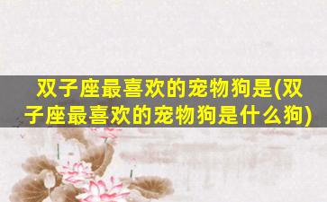 双子座最喜欢的宠物狗是(双子座最喜欢的宠物狗是什么狗)