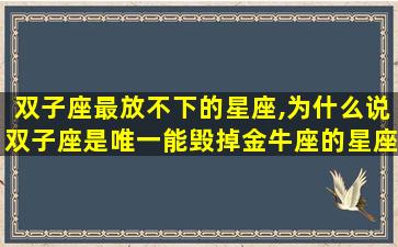 双子座最放不下的星座,为什么说双子座是唯一能毁掉金牛座的星座