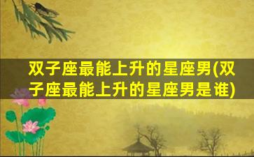 双子座最能上升的星座男(双子座最能上升的星座男是谁)