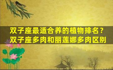 双子座最适合养的植物排名？双子座多肉和丽莲娜多肉区别