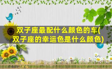 双子座最配什么颜色的车(双子座的幸运色是什么颜色)