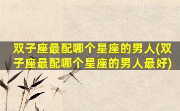 双子座最配哪个星座的男人(双子座最配哪个星座的男人最好)