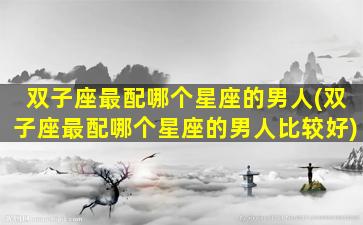 双子座最配哪个星座的男人(双子座最配哪个星座的男人比较好)