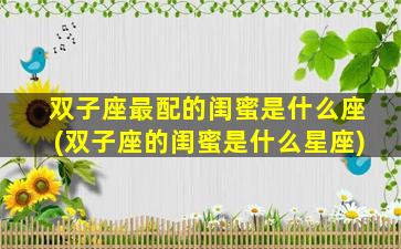 双子座最配的闺蜜是什么座(双子座的闺蜜是什么星座)