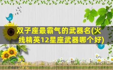 双子座最霸气的武器名(火线精英12星座武器哪个好)