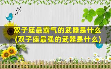 双子座最霸气的武器是什么(双子座最强的武器是什么)