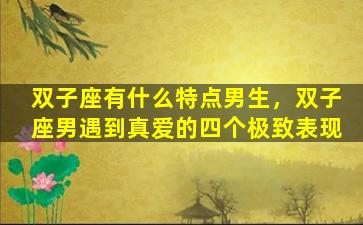 双子座有什么特点男生，双子座男遇到真爱的四个极致表现