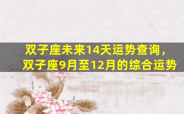 双子座未来14天运势查询，双子座9月至12月的综合运势