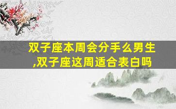 双子座本周会分手么男生,双子座这周适合表白吗