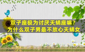 双子座极为讨厌天蝎座嘛？为什么双子男最不放心天蝎女