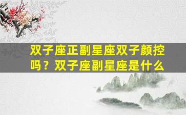 双子座正副星座双子颜控吗？双子座副星座是什么