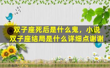 双子座死后是什么鬼，小说双子座结局是什么详细点谢谢