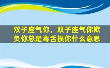 双子座气你，双子座气你欺负你总是毒舌损你什么意思