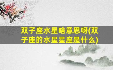 双子座水星啥意思呀(双子座的水星星座是什么)