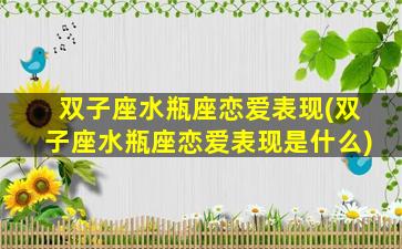 双子座水瓶座恋爱表现(双子座水瓶座恋爱表现是什么)