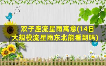 双子座流星雨寓意(14日大规模流星雨东北能看到吗)