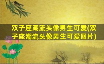双子座潮流头像男生可爱(双子座潮流头像男生可爱图片)