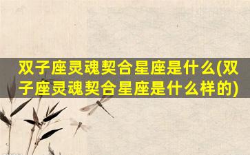 双子座灵魂契合星座是什么(双子座灵魂契合星座是什么样的)