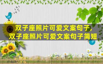 双子座照片可爱文案句子,双子座照片可爱文案句子简短