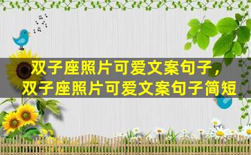 双子座照片可爱文案句子，双子座照片可爱文案句子简短