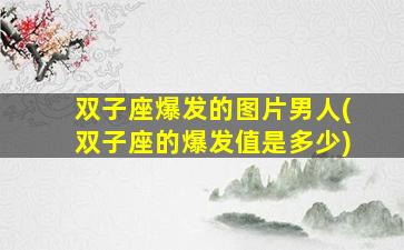 双子座爆发的图片男人(双子座的爆发值是多少)