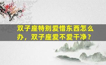 双子座特别爱惜东西怎么办，双子座爱不爱干净？