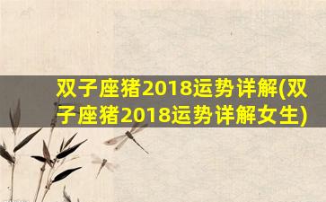 双子座猪2018运势详解(双子座猪2018运势详解女生)