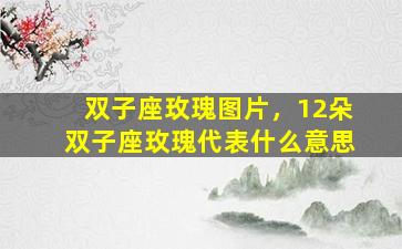 双子座玫瑰图片，12朵双子座玫瑰代表什么意思