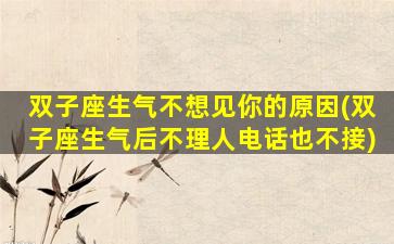 双子座生气不想见你的原因(双子座生气后不理人电话也不接)