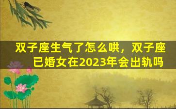 双子座生气了怎么哄，双子座已婚女在2023年会出轨吗