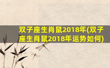 双子座生肖鼠2018年(双子座生肖鼠2018年运势如何)