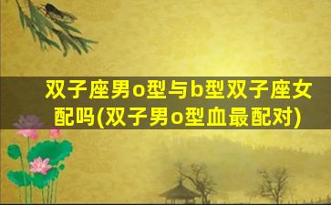 双子座男o型与b型双子座女配吗(双子男o型血最配对)
