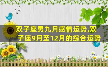 双子座男九月感情运势,双子座9月至12月的综合运势