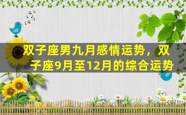 双子座男九月感情运势，双子座9月至12月的综合运势