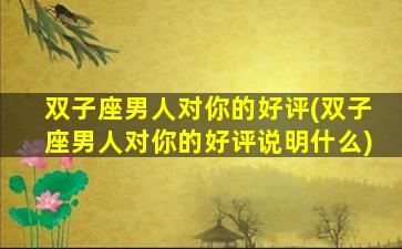 双子座男人对你的好评(双子座男人对你的好评说明什么)