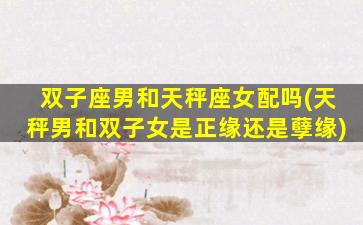 双子座男和天秤座女配吗(天秤男和双子女是正缘还是孽缘)